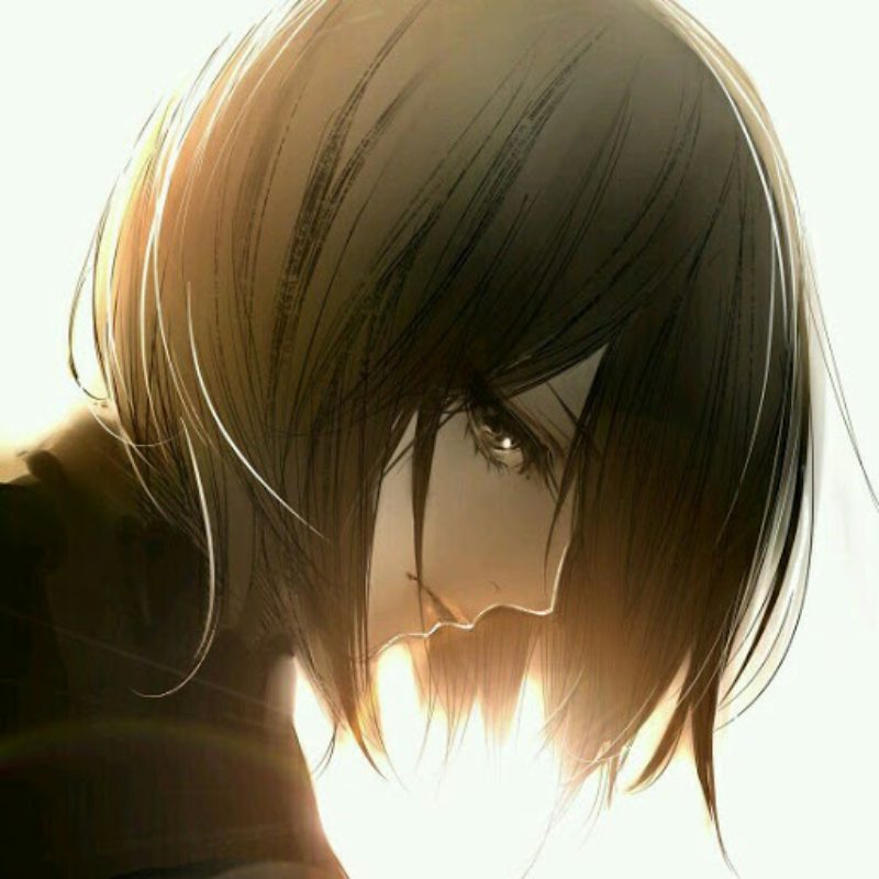 Ảnh mikasa ngầu 4