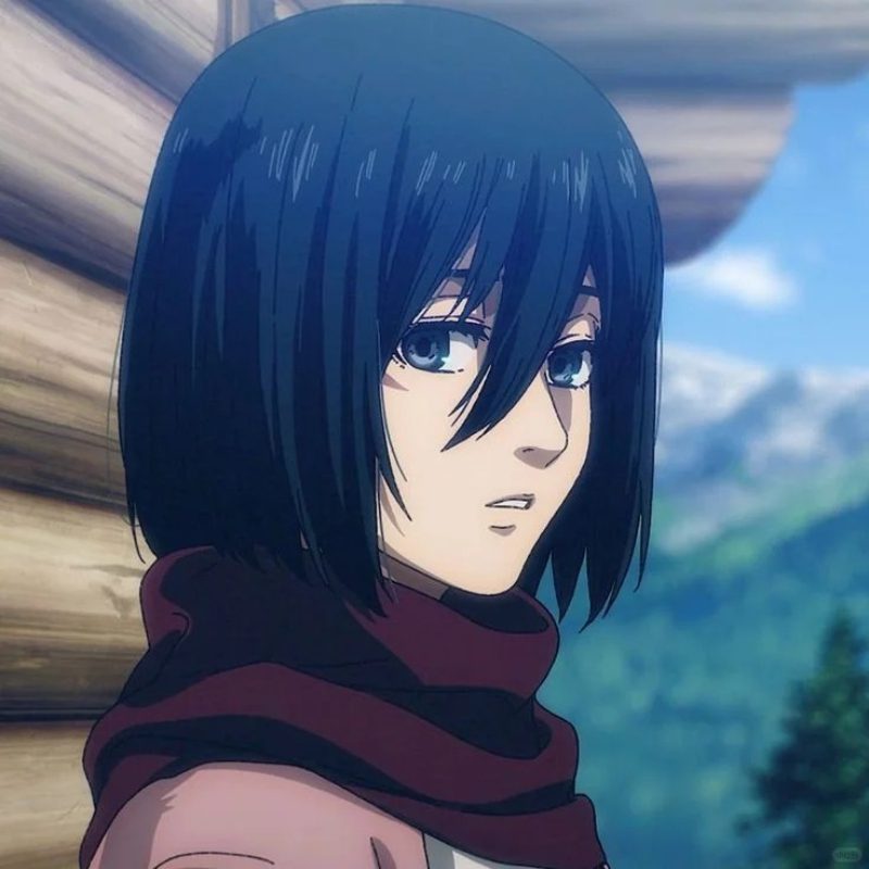 ảnh mikasa aot ngầu làm ảnh đại diện