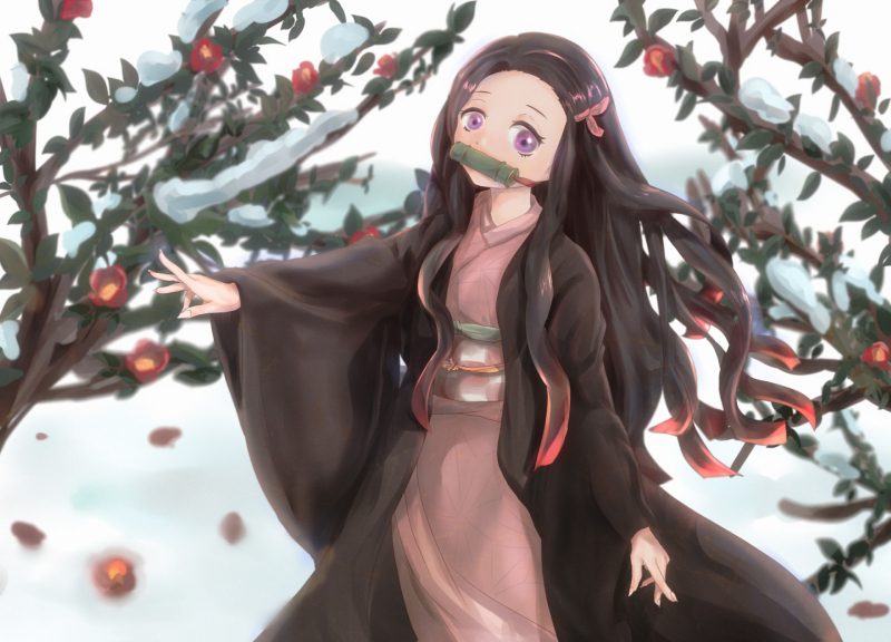 ảnh nezuko anime 3