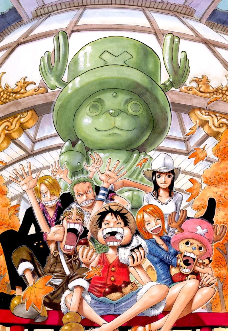 ảnh one piece có độ phân giải cao