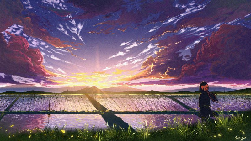 Phong cảnh anime với cánh đồng lúa