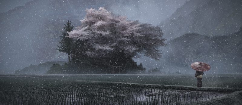 Những bức tranh anime về thiên nhiên