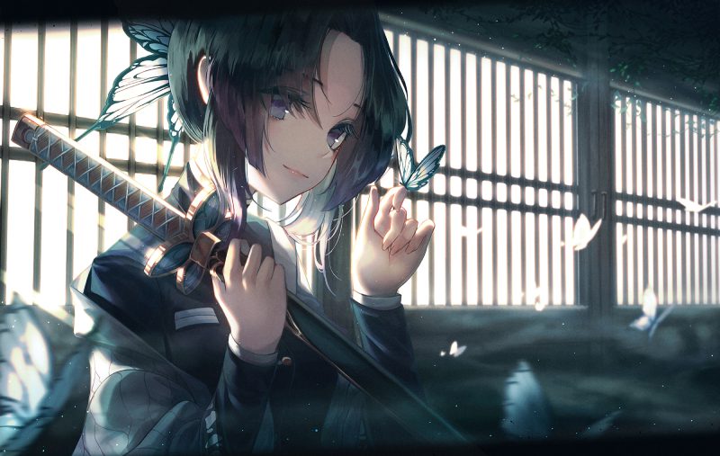 shinobu wallpaper girl anime best choice
