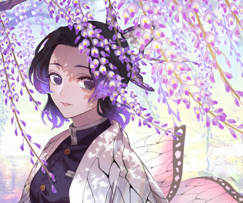 hình ảnh shinobu chất lượng cao 2k