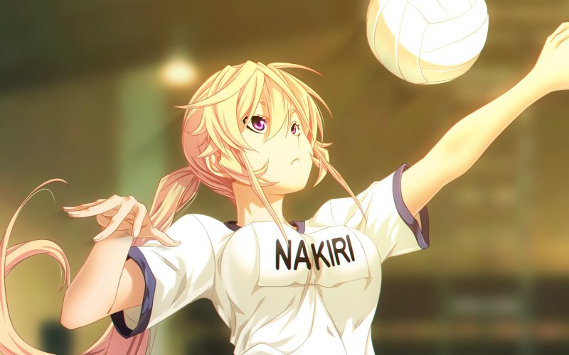 ảnh anime bóng chuyền dễ thương