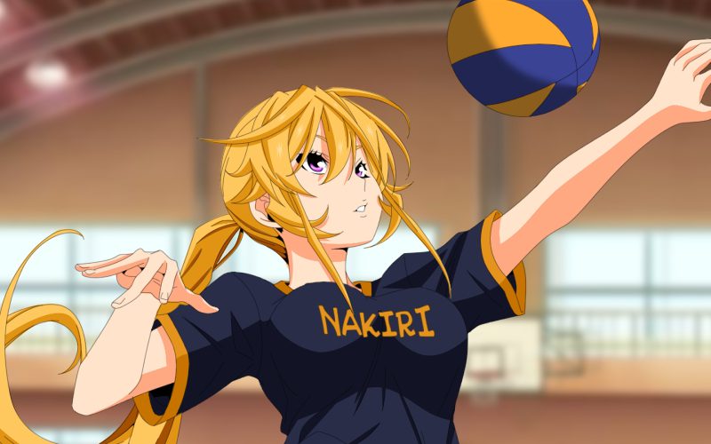 anime bóng chuyền hoạt hình Nhật Bản