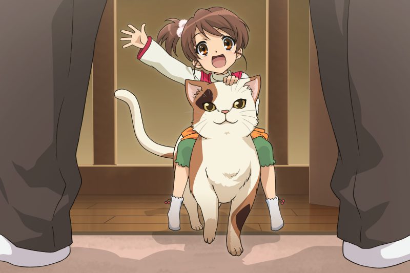 hình ảnh mèo anime cute đẹp