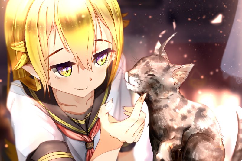 hình ảnh mèo anime cute