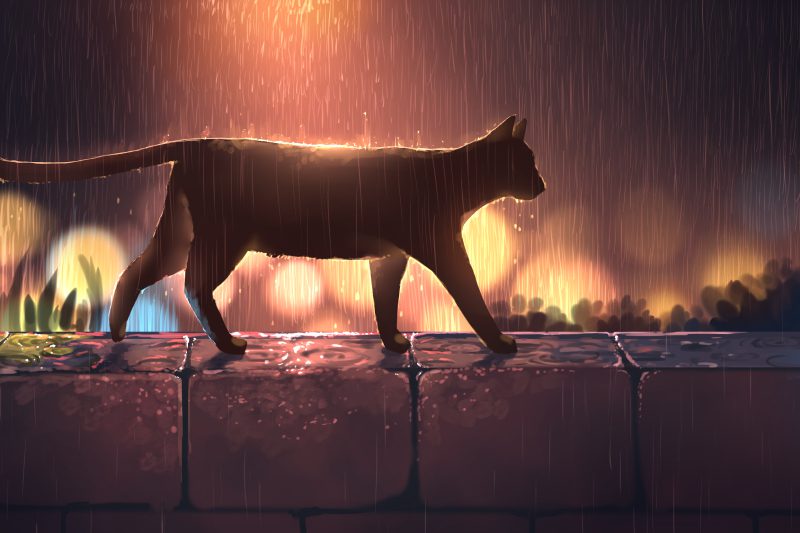 ảnh mèo anime