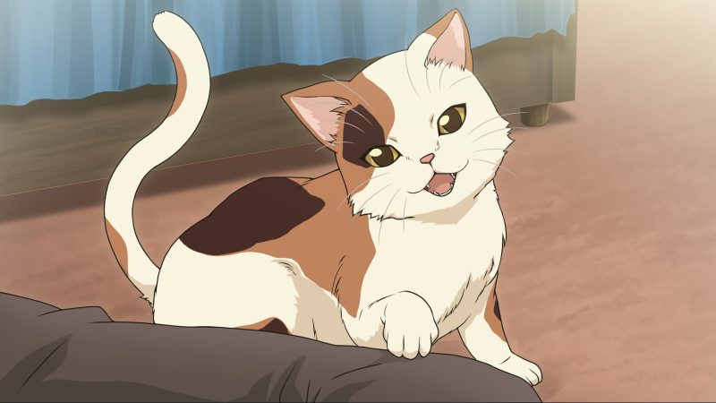 mèo anime chibi hình nền