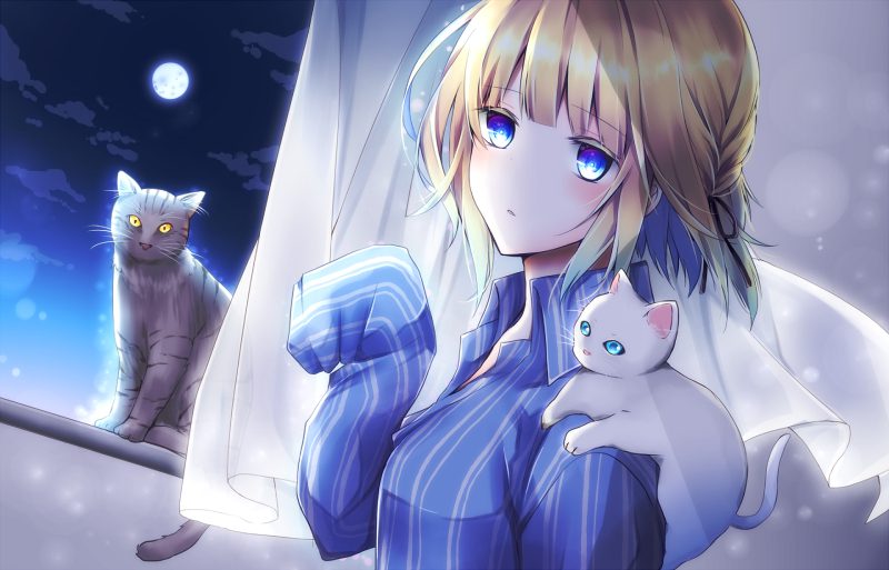 mèo anime cute profile pic