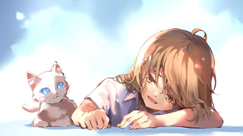 mèo anime wallpaper pc đẹp