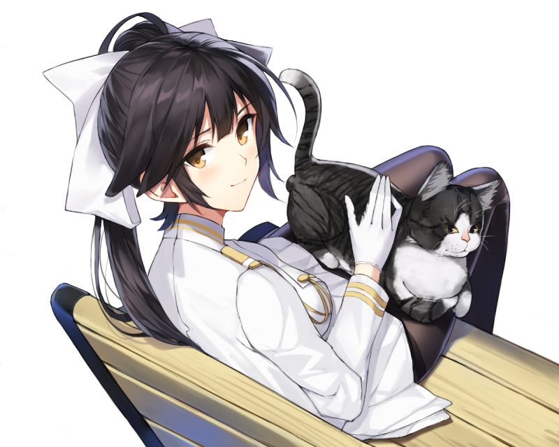background mèo anime