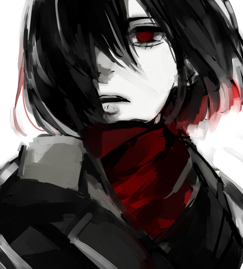 mikasa kotobukiya 2