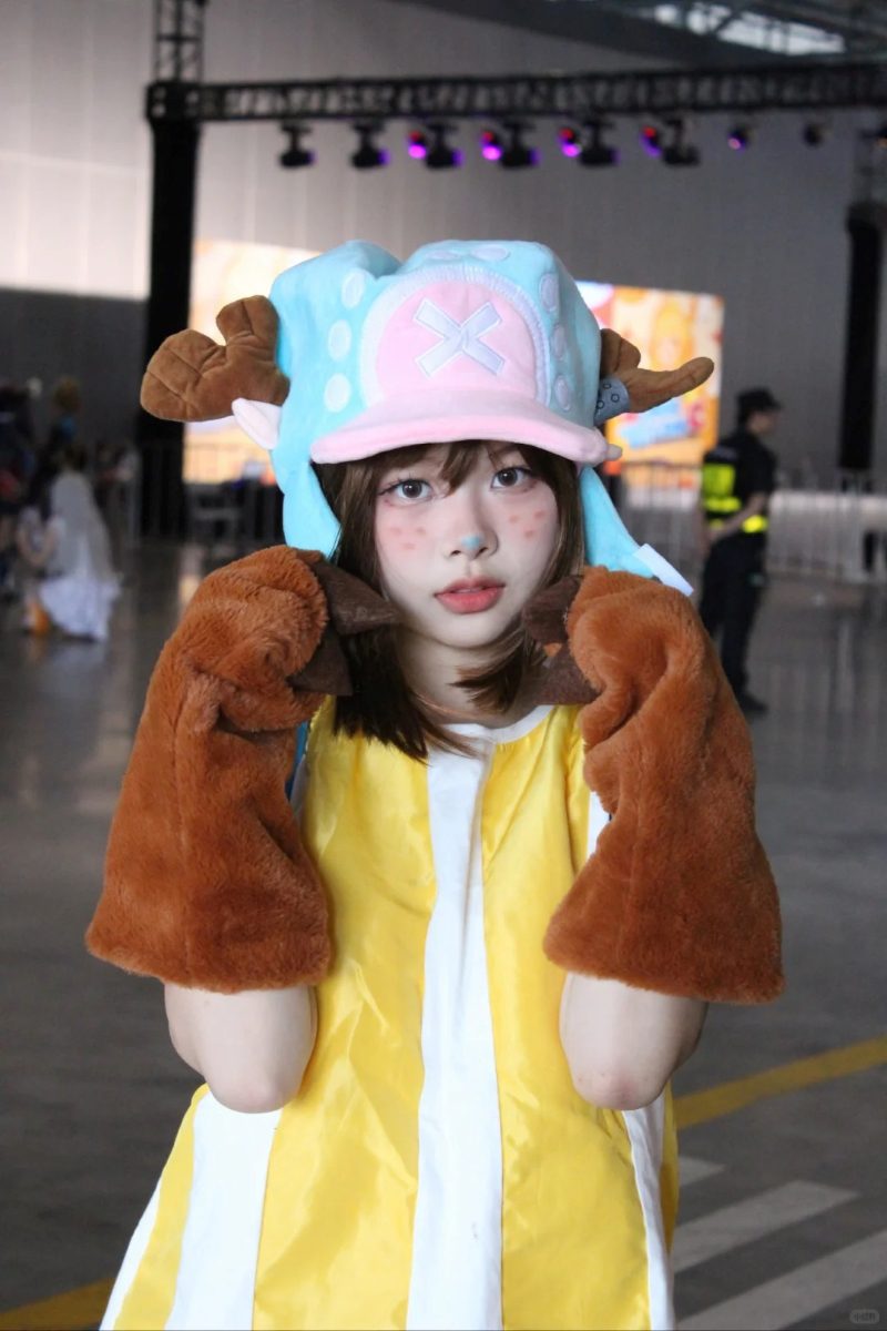 cosplay luffy zoro nami one piece
