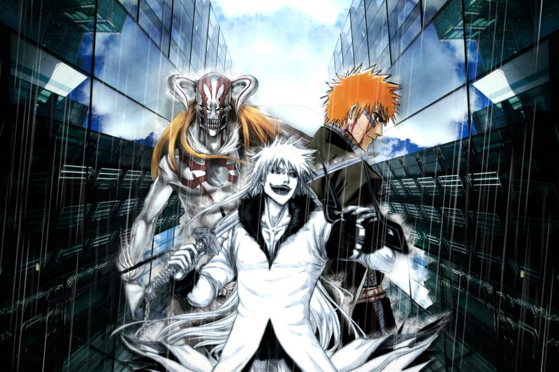 ảnh ichigo cute ít ai biết