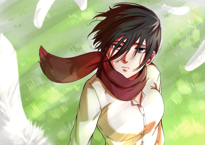 mikasa attack on titan ảnh full body