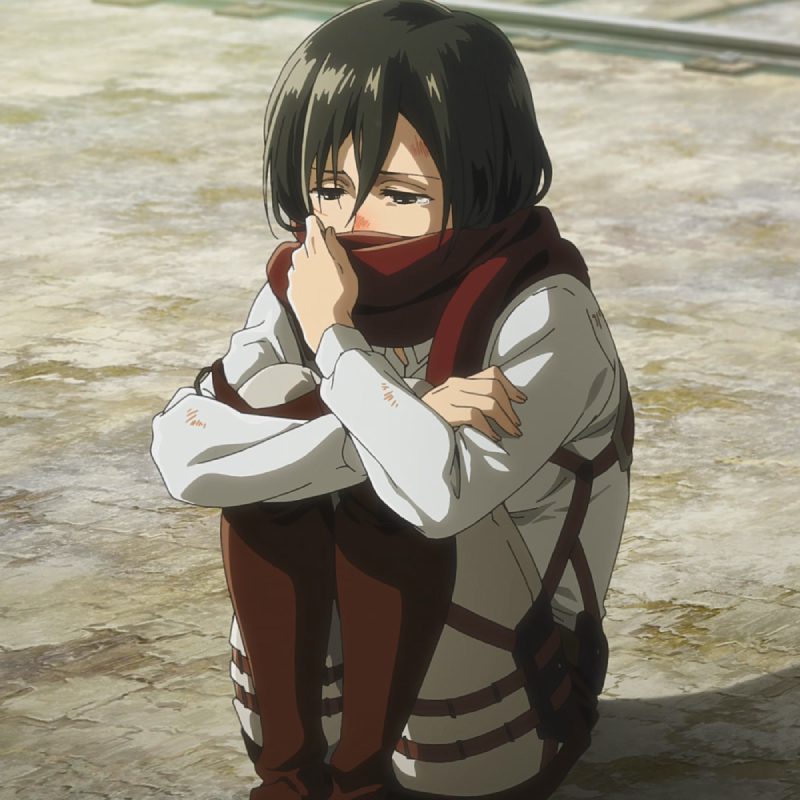 mikasa wallpaper cho pc cực chất