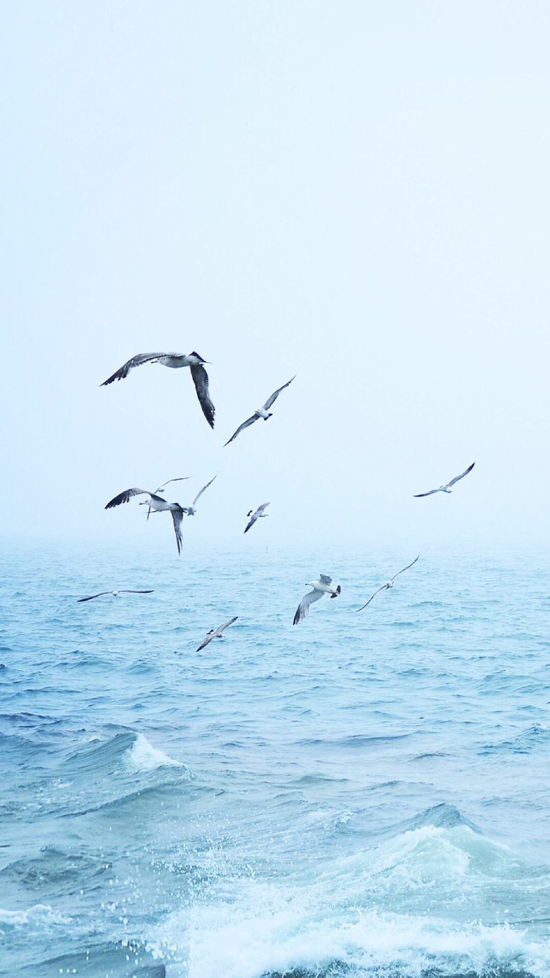 ảnh biển chill 3