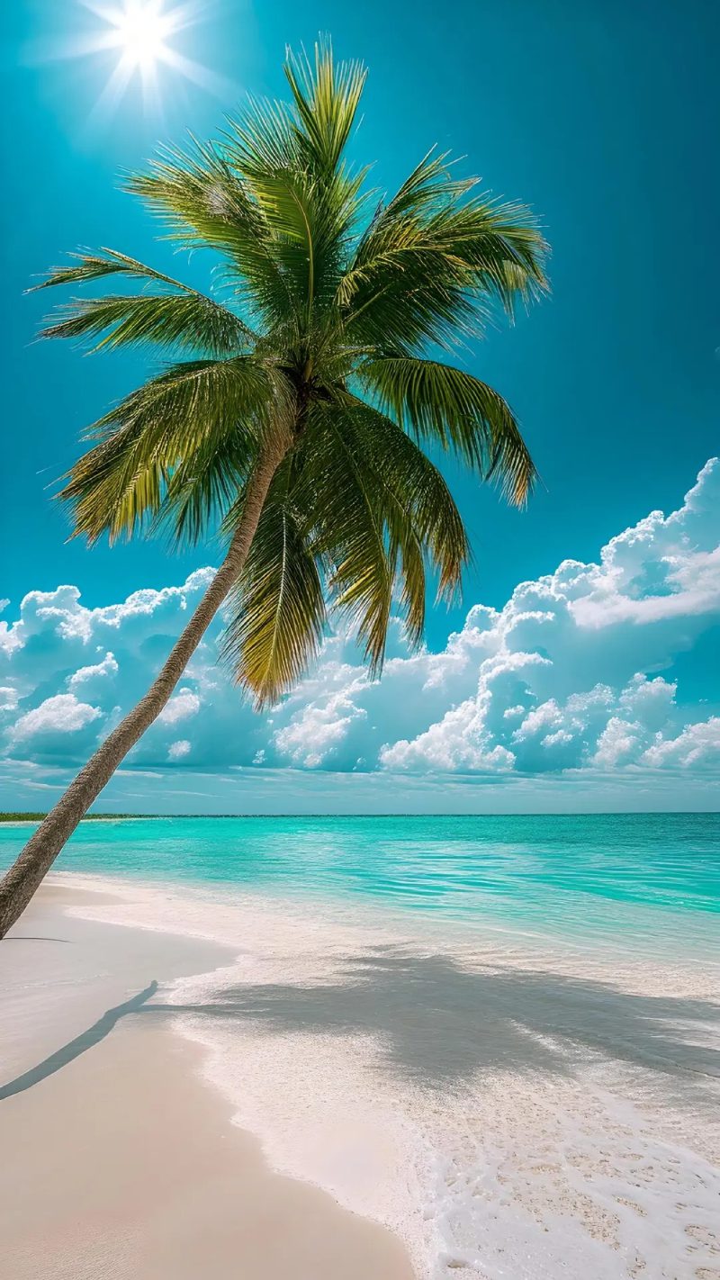 ảnh biển chill 38