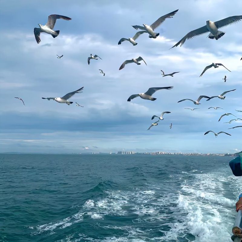 ảnh biển chill 4