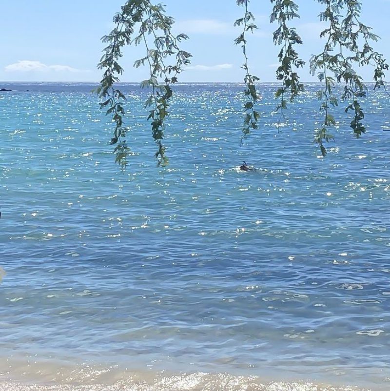 ảnh biển chill 8