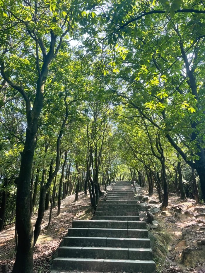 ảnh bình yên​ 13