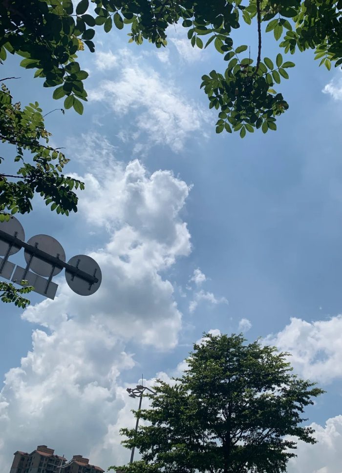 ảnh bình yên​ 14