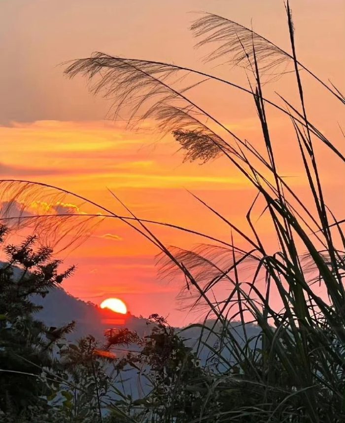 ảnh bình yên​ 16