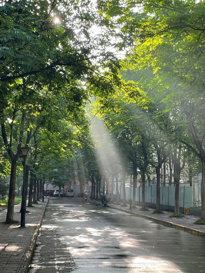 ảnh bình yên​ 20