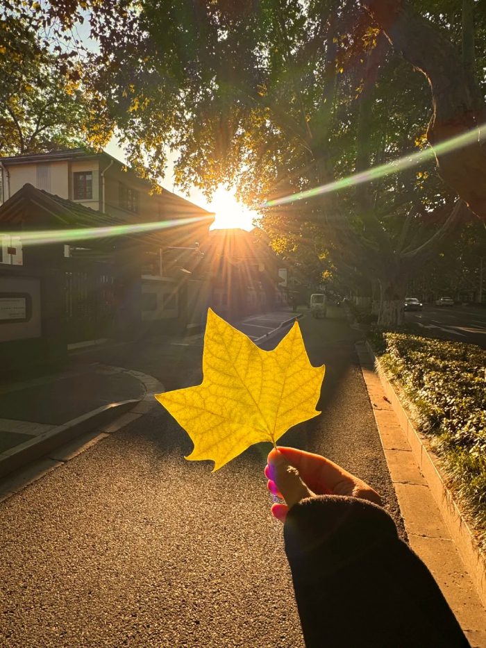 ảnh bình yên​ 6