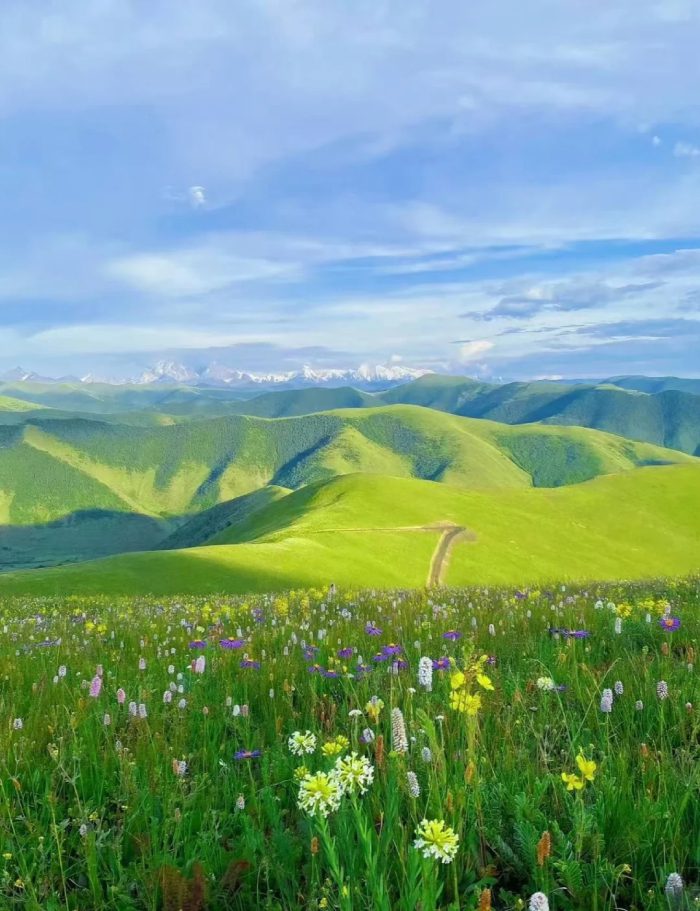 ảnh bình yên​ 1