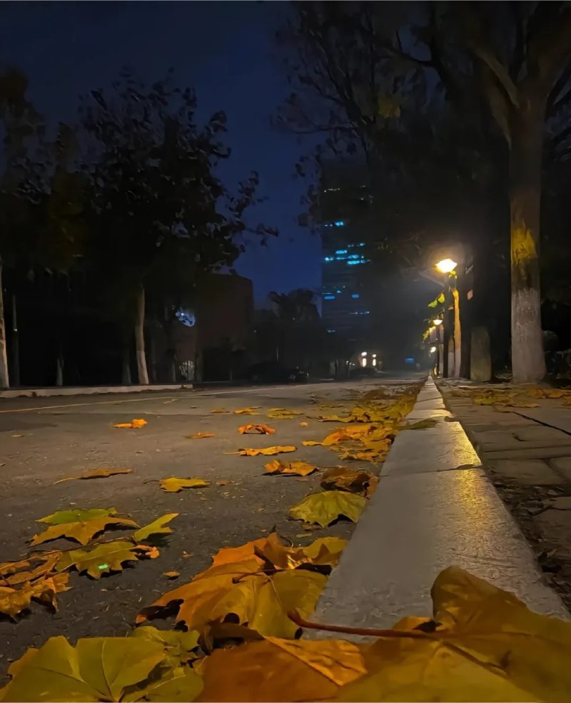 ảnh chill buồn 33