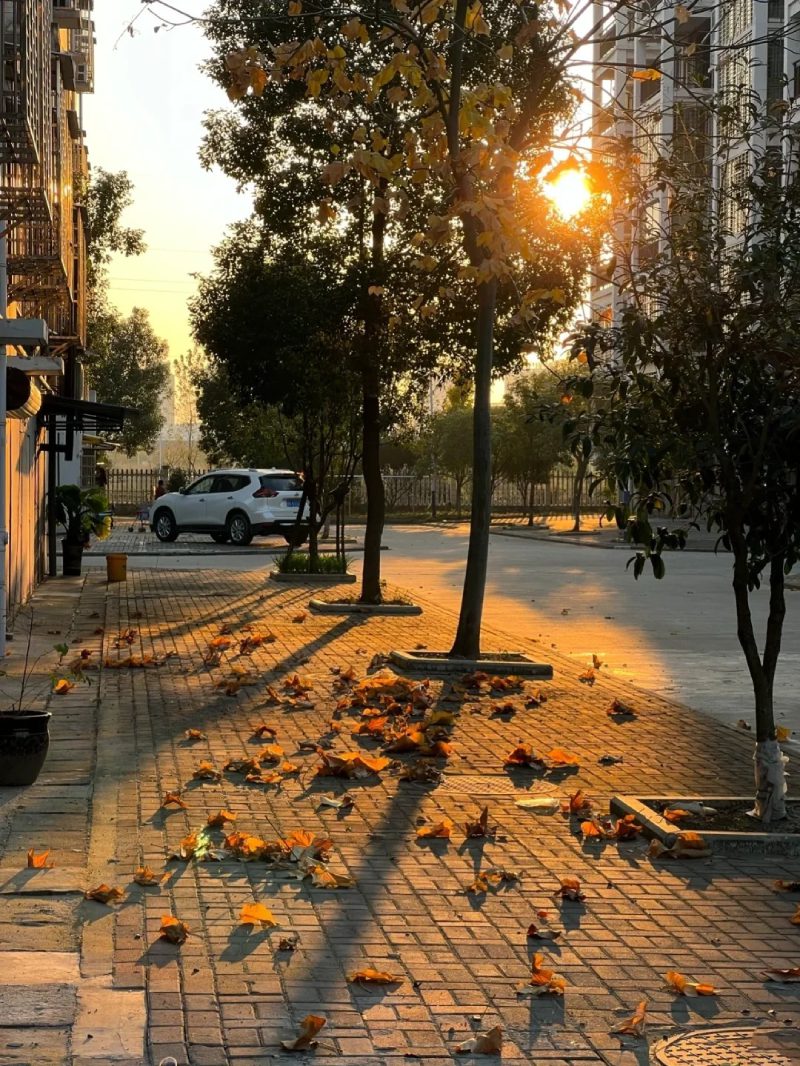 ảnh chill buồn 37