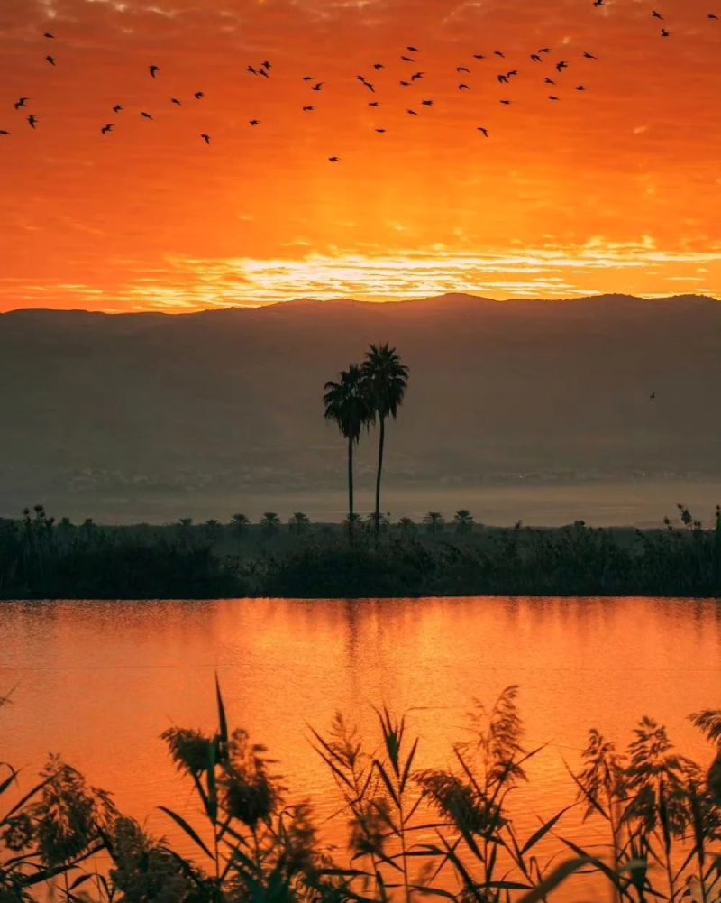 ảnh hoàng hôn buồn 10