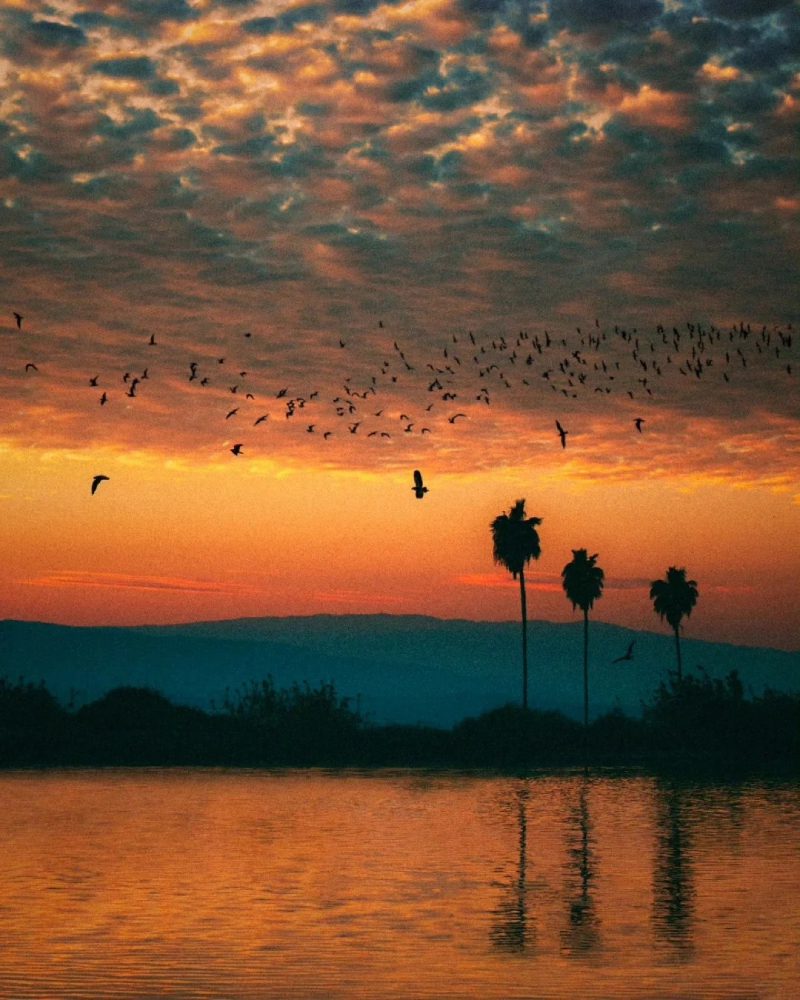 ảnh hoàng hôn buồn 13