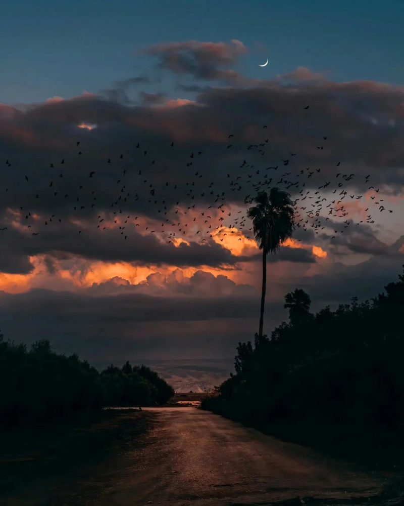 ảnh hoàng hôn buồn 14