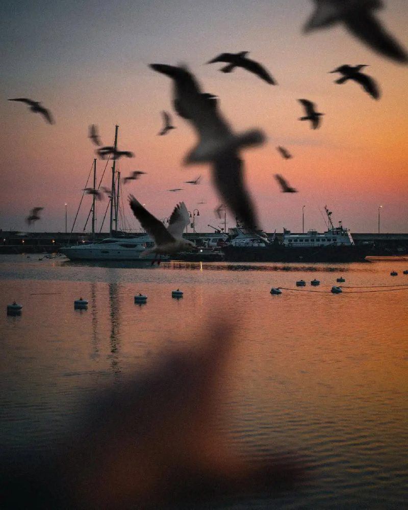 ảnh hoàng hôn buồn 3