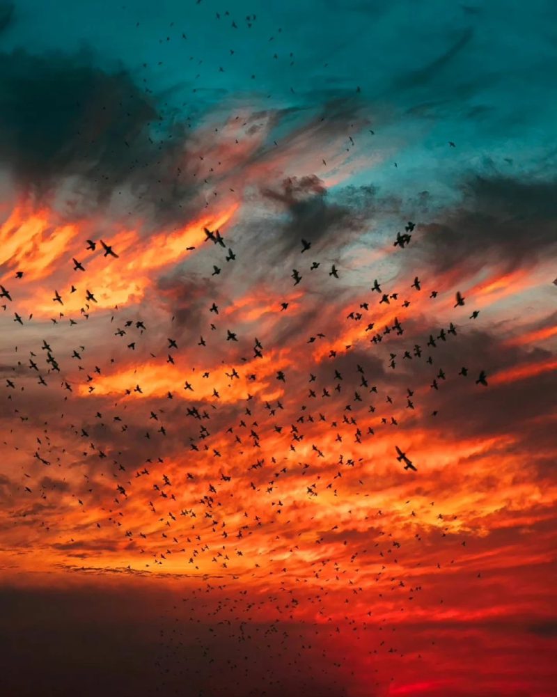 ảnh hoàng hôn buồn 8