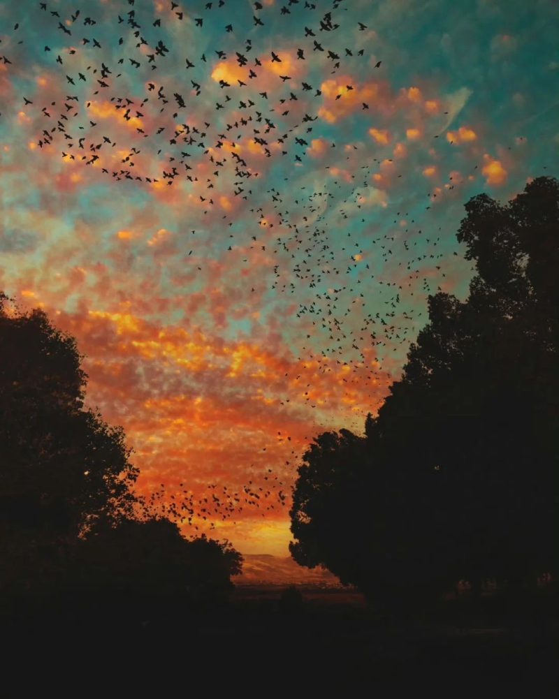 ảnh hoàng hôn buồn 9