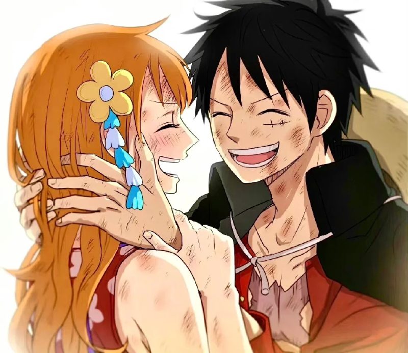ảnh nami và luffy 