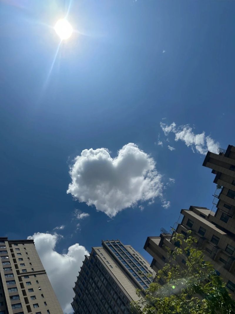 ảnh phong cảnh chill 1