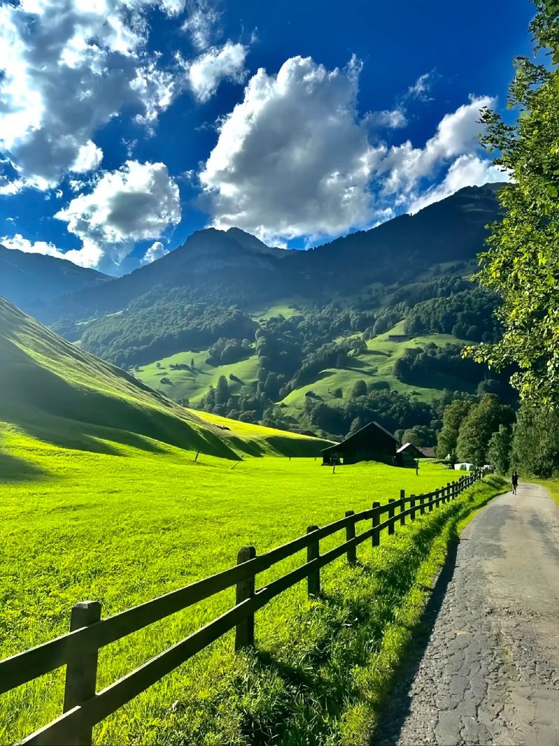 ảnh phong cảnh chill 14