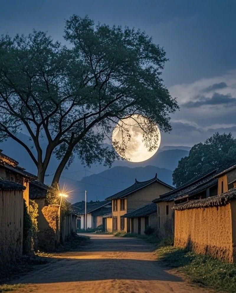 ảnh phong cảnh chill 18