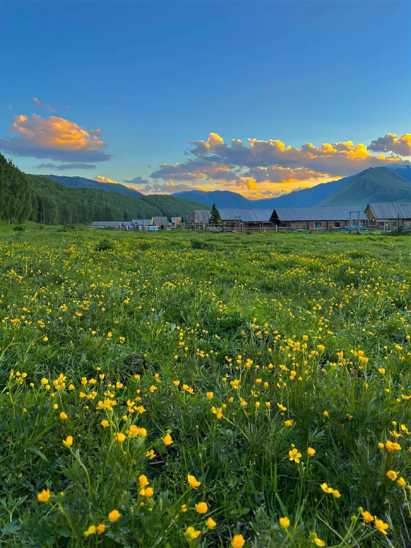 ảnh phong cảnh chill 25