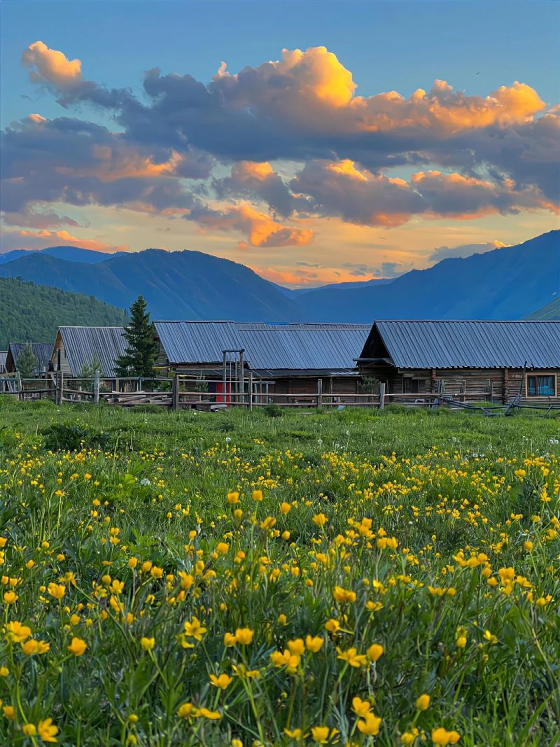 ảnh phong cảnh chill 26