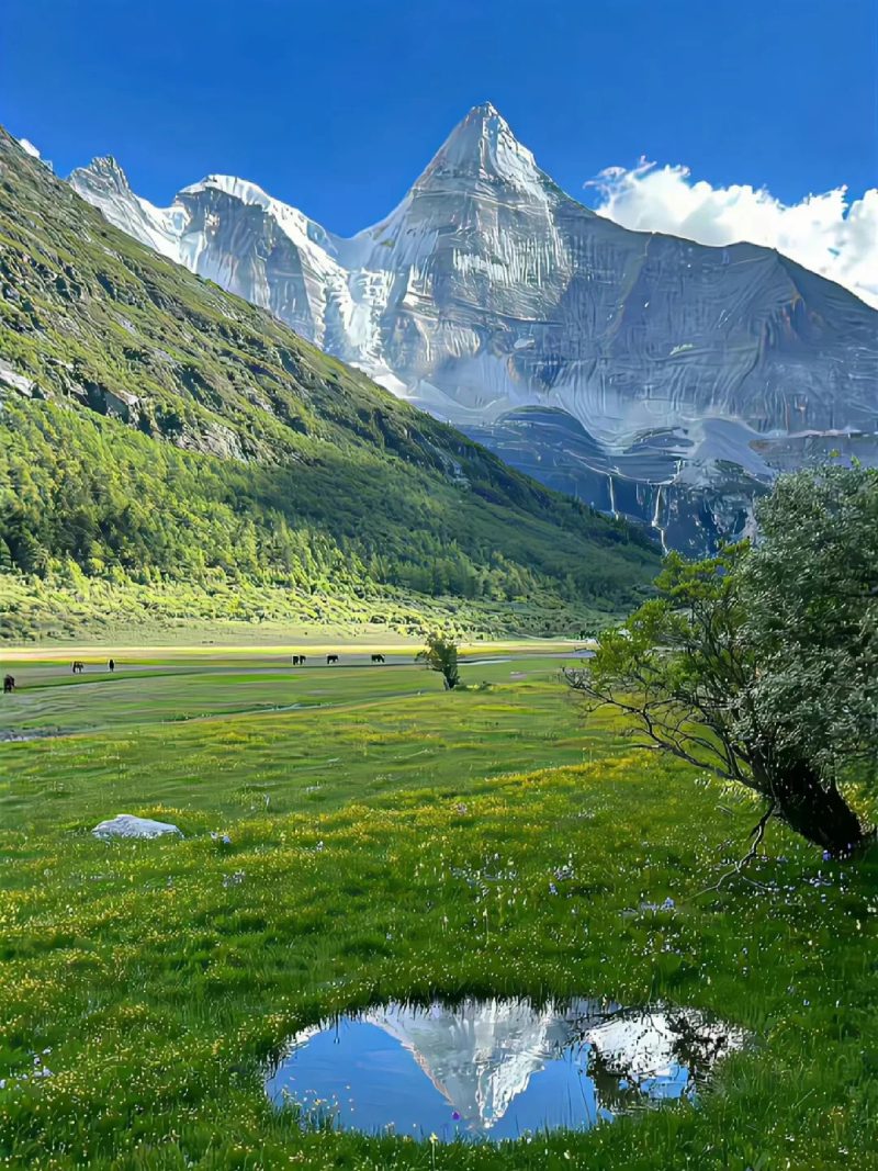 ảnh phong cảnh chill 29