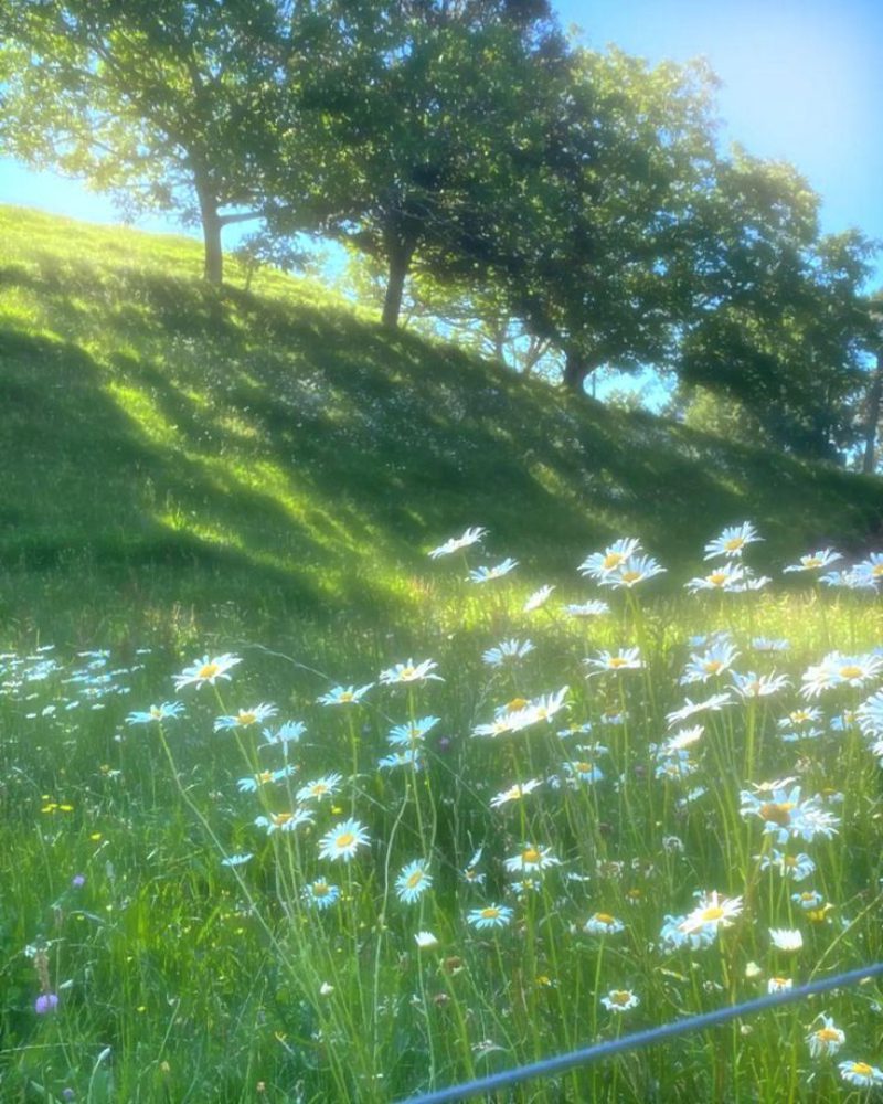 ảnh phong cảnh chill 35