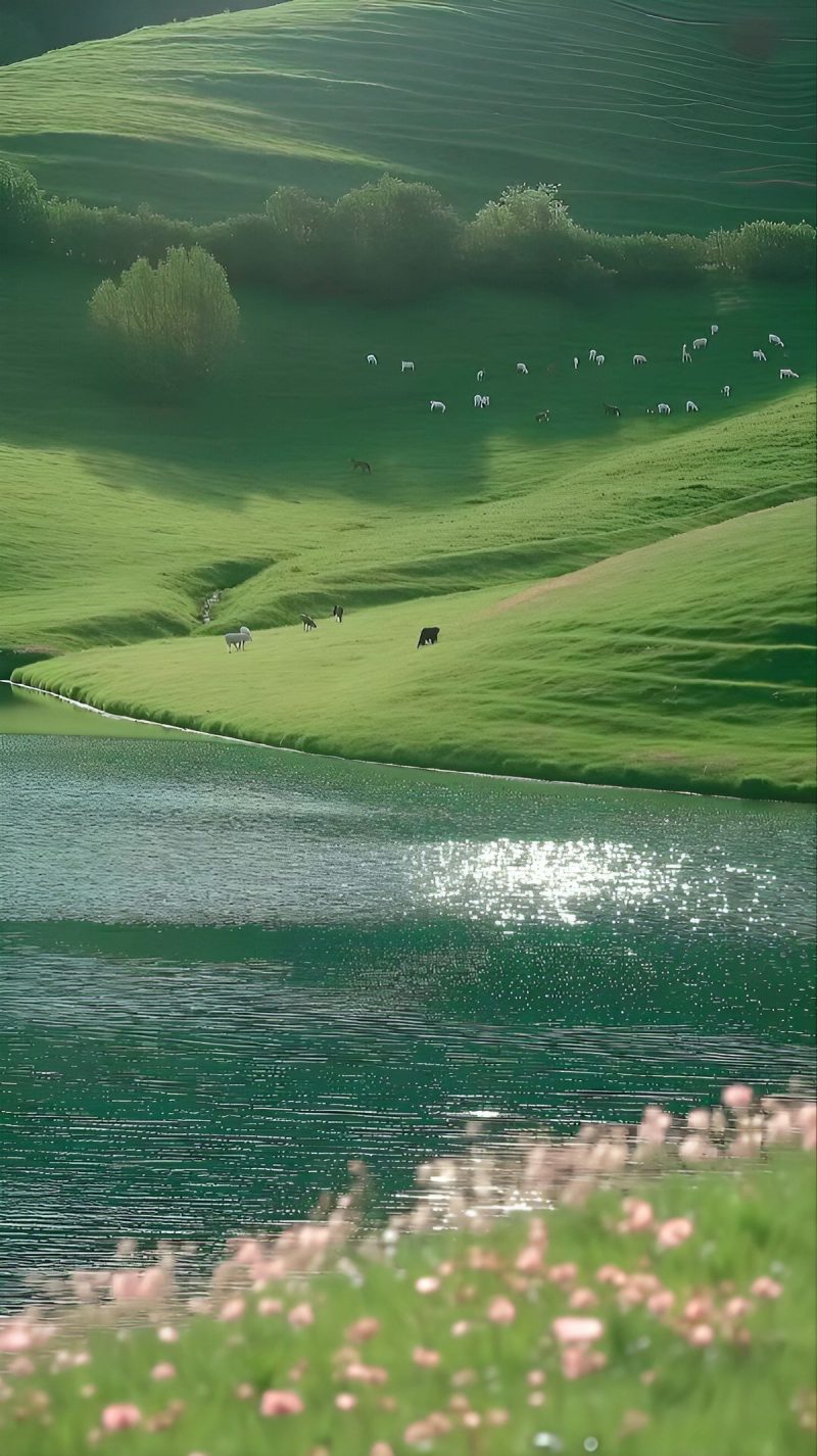 ảnh phong cảnh chill 36