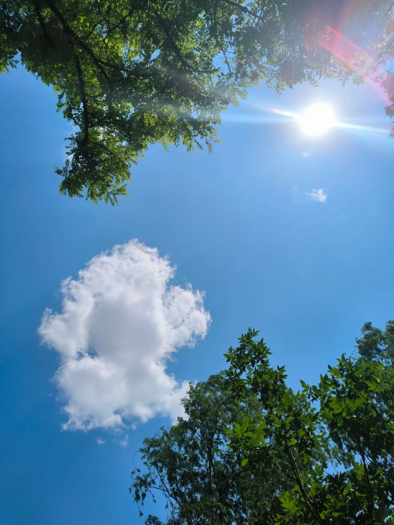 ảnh phong cảnh chill 4